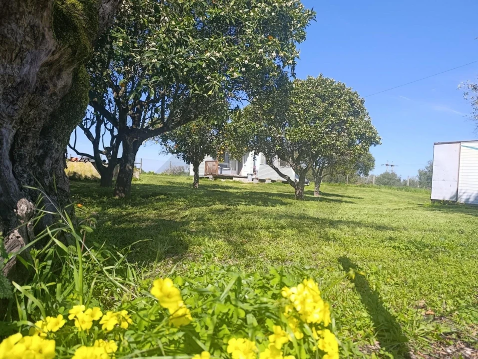 Moradia T2 para Venda em Pontevel Foto 12