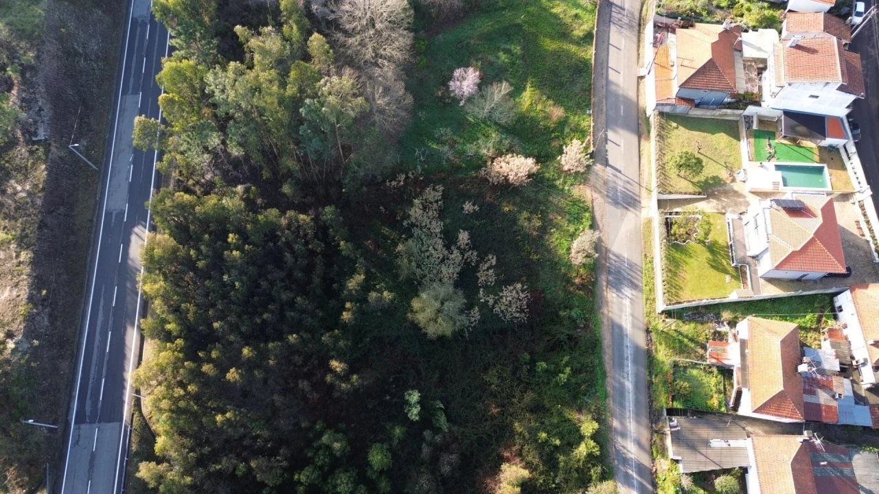 Terreno para Venda em Nogueira do Cravo e Pindelo Foto 1