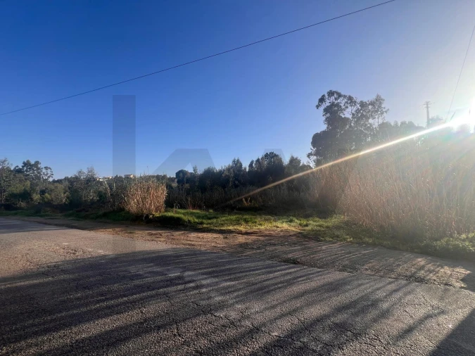 Terreno para Venda em Nogueira do Cravo e Pindelo Foto 14