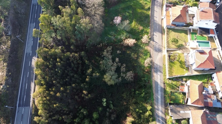 Terreno para Venda em Nogueira do Cravo e Pindelo