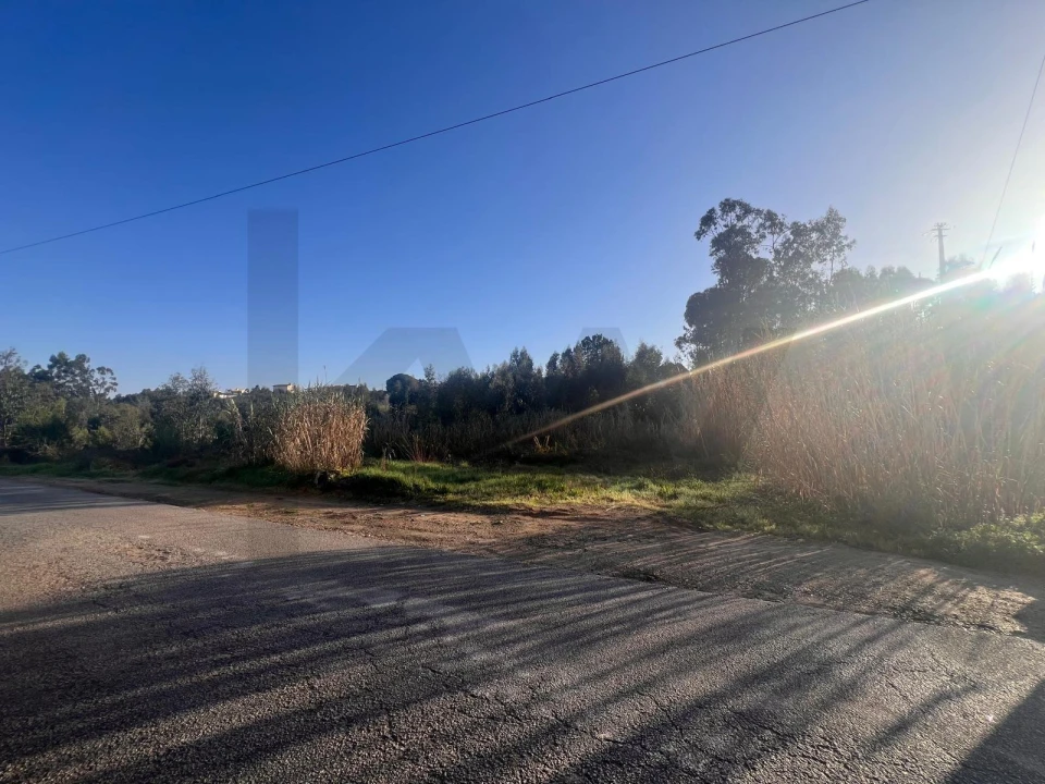 Terreno para Venda em Nogueira do Cravo e Pindelo Foto 13