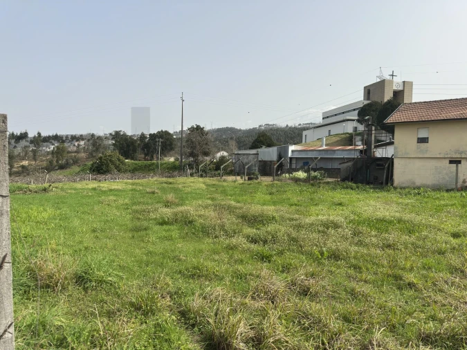 Terreno para Venda em Pinheiro da Bemposta, Travanca e Palmaz Foto 3