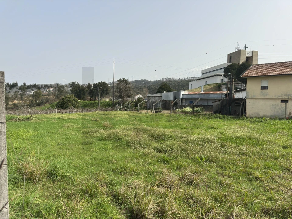 Terreno para Venda em Pinheiro da Bemposta, Travanca e Palmaz Foto 3