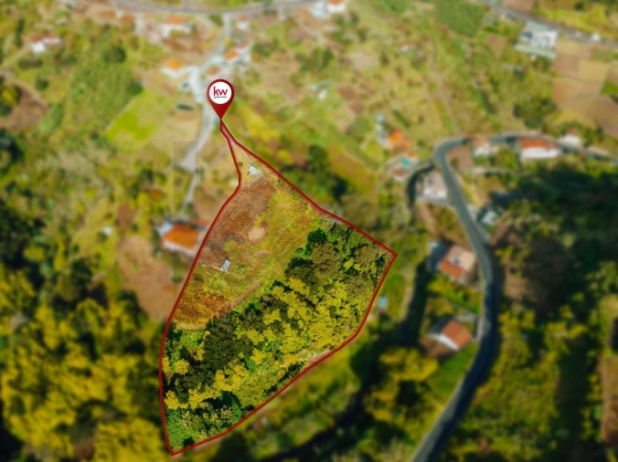 Terreno para Venda em Porto da Cruz Foto 4