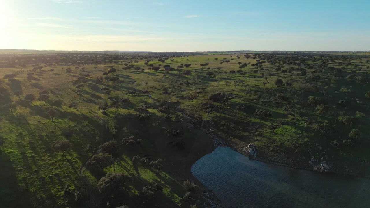 Quinta T8 para Venda em Reguengos de Monsaraz Foto 51