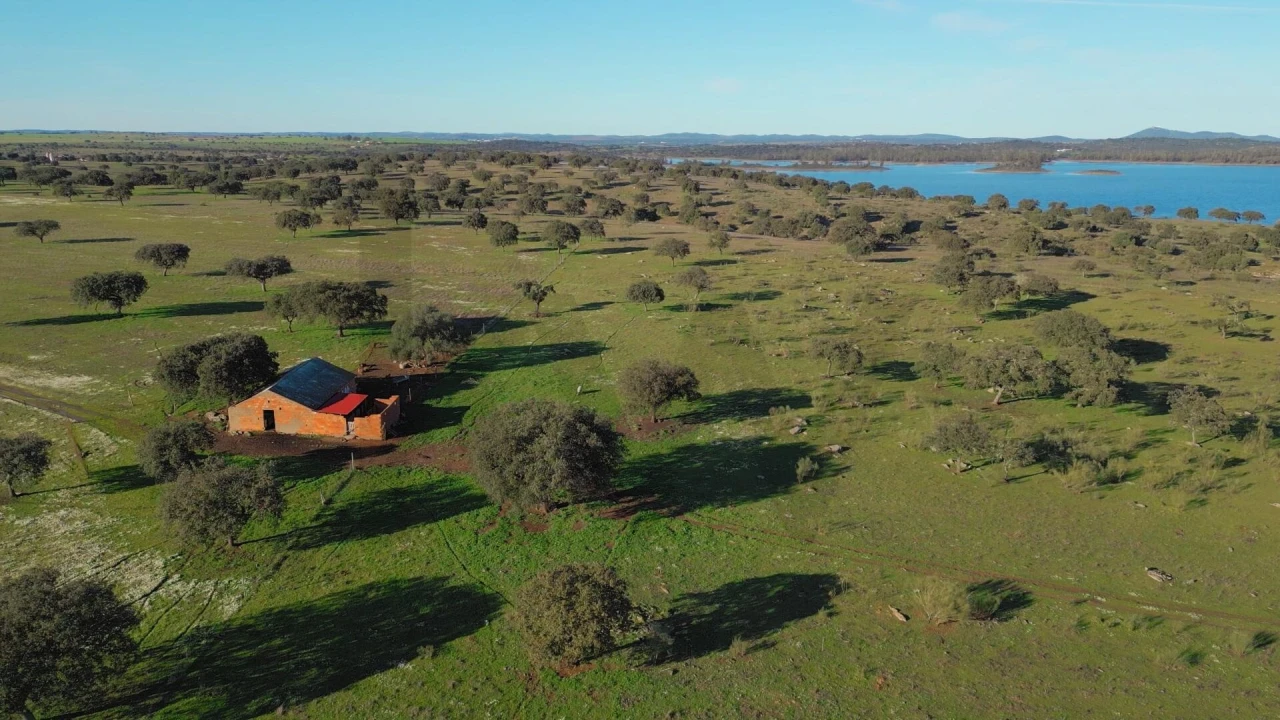 Quinta T8 para Venda em Reguengos de Monsaraz Foto 41
