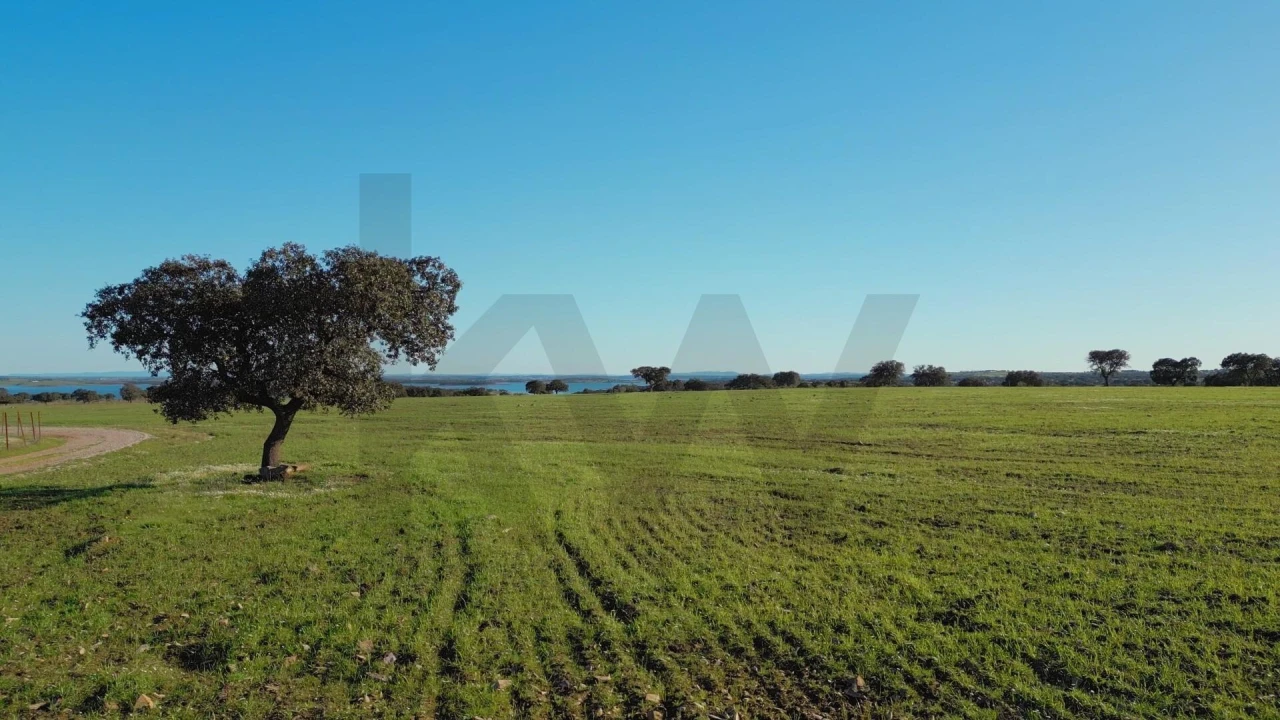 Quinta T8 para Venda em Reguengos de Monsaraz Foto 9