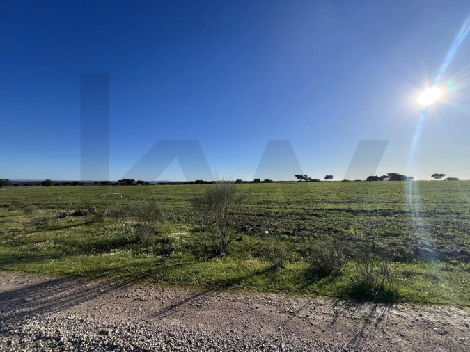 Quinta T8 para Venda em Reguengos de Monsaraz Foto 31