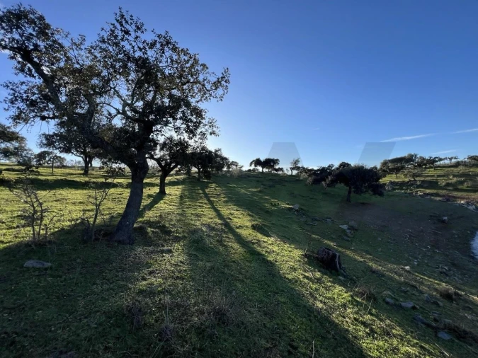 Quinta T8 para Venda em Reguengos de Monsaraz Foto 21