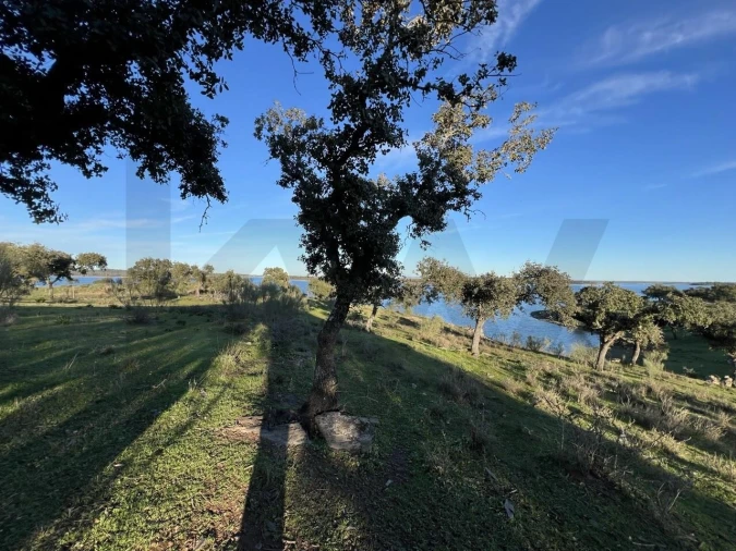 Quinta T8 para Venda em Reguengos de Monsaraz Foto 17