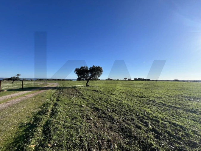 Quinta T8 para Venda em Reguengos de Monsaraz Foto 32