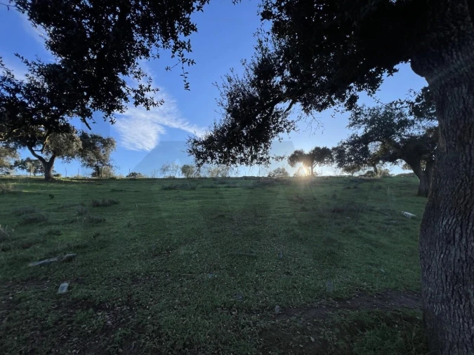 Quinta T8 para Venda em Reguengos de Monsaraz Foto 20