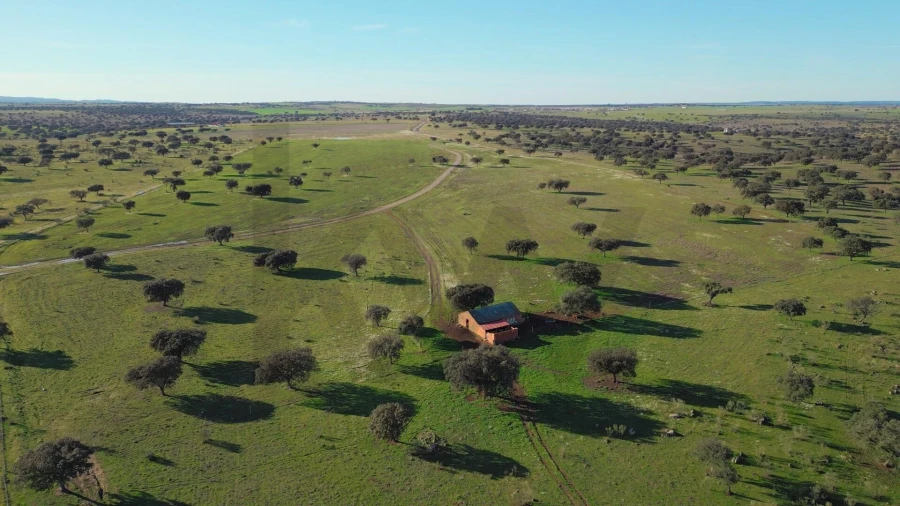 Quinta T8 para Venda em Reguengos de Monsaraz Foto 42