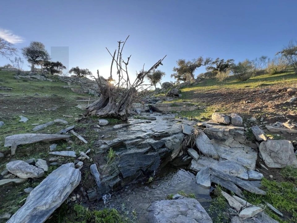 Quinta T8 para Venda em Reguengos de Monsaraz Foto 19