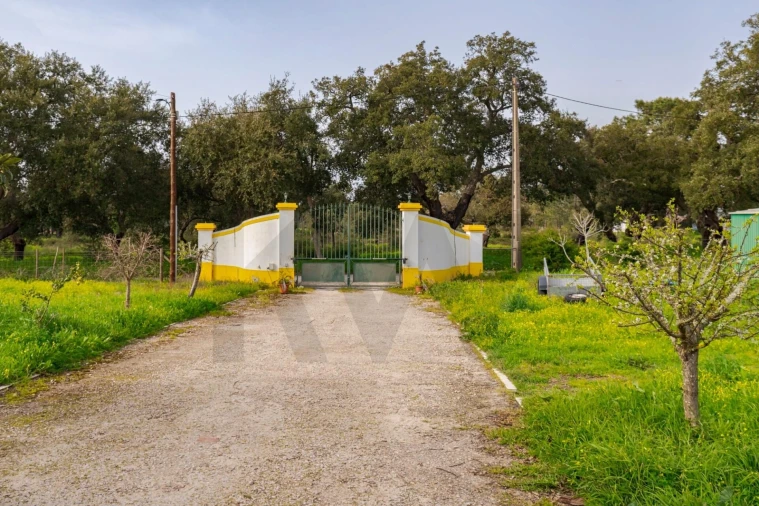 Quinta T4 para Venda em Santo Andre Foto 37