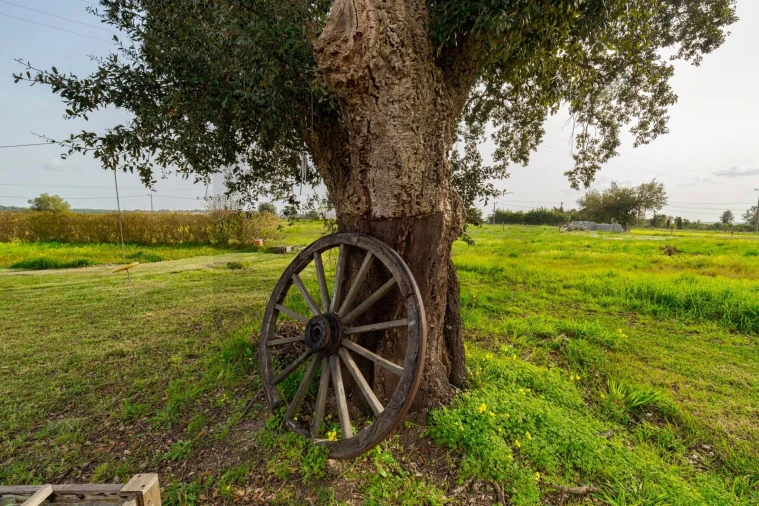 Quinta T4 para Venda em Santo Andre Foto 29