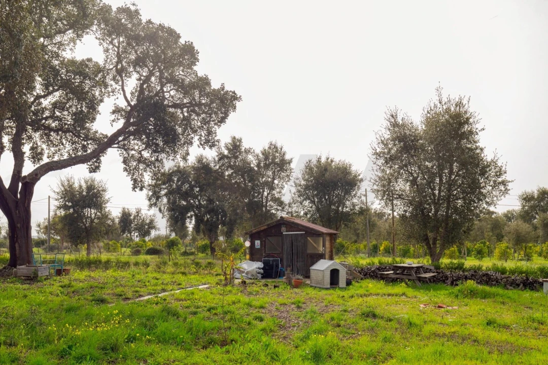 Quinta T4 para Venda em Santo Andre Foto 39