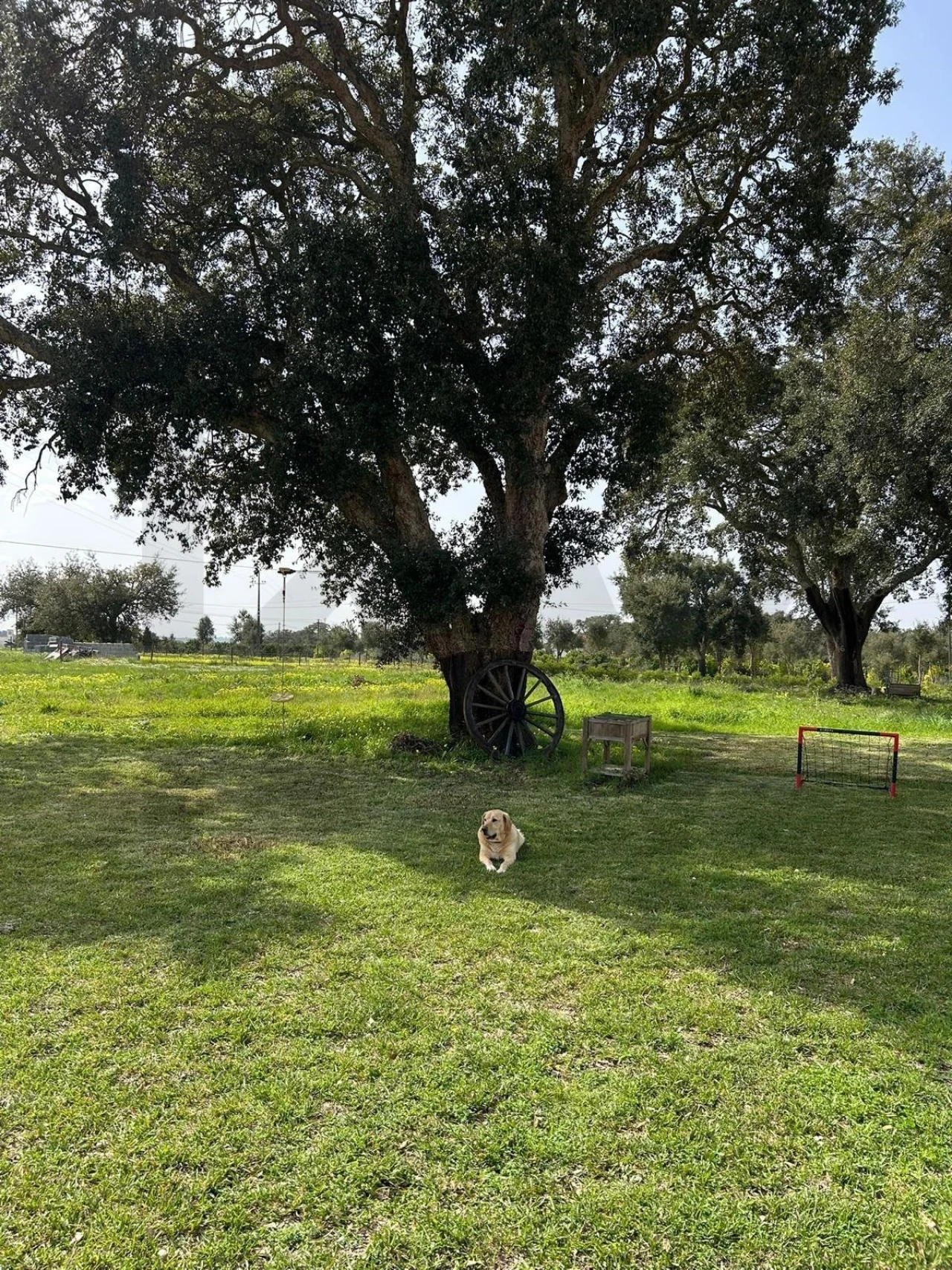 Moradia T4 para Venda em Santo Andre Foto 42