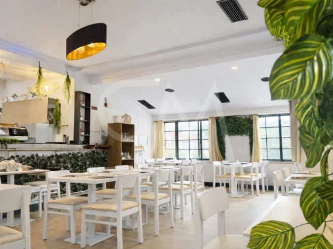 Loja para Venda em Colares Foto 5