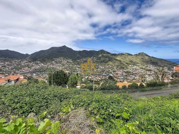 Terreno para Venda em Machico