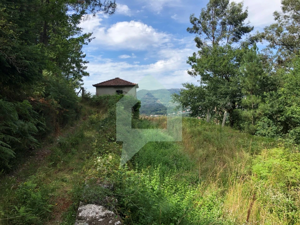 Terreno Agricola ou Rústico para Venda em Ponte da Barca, V.N. Muía, Paço Vedro Magalhães Foto 1