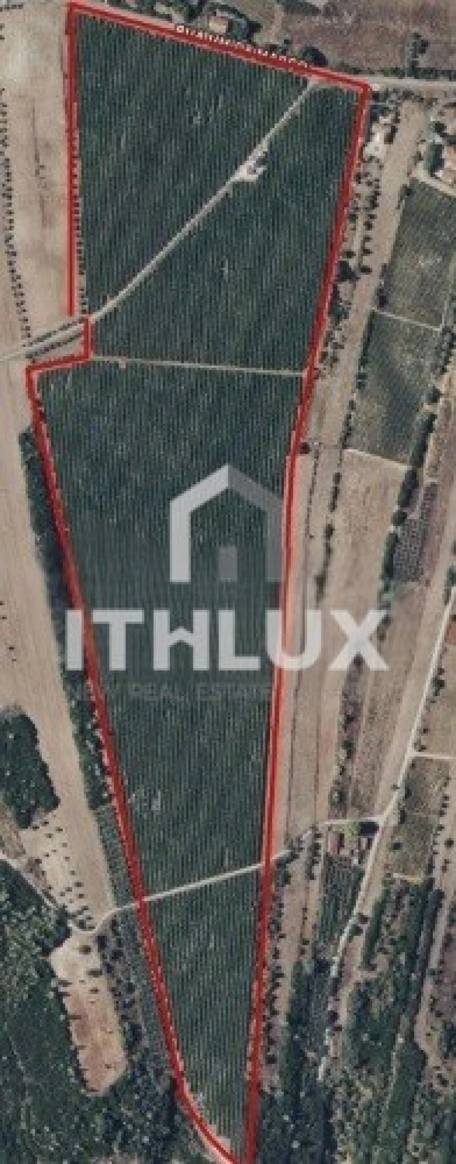 Terreno Agricola ou Rústico para Venda em Almoster Foto 5