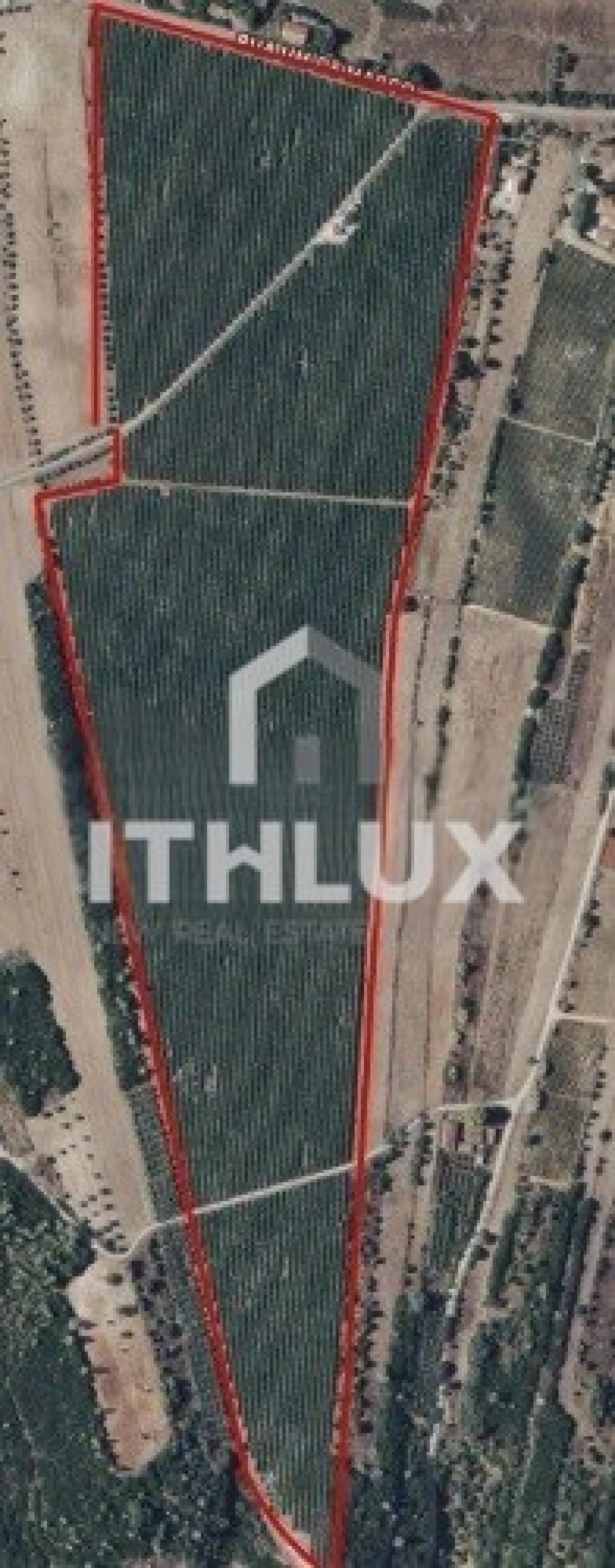 Terreno Agricola ou Rústico para Venda em Almoster Foto 5