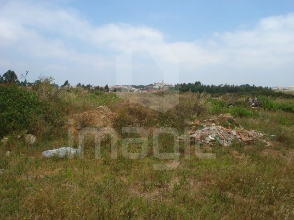 Terreno Agricola ou Rústico para Venda em Ericeira Foto 2