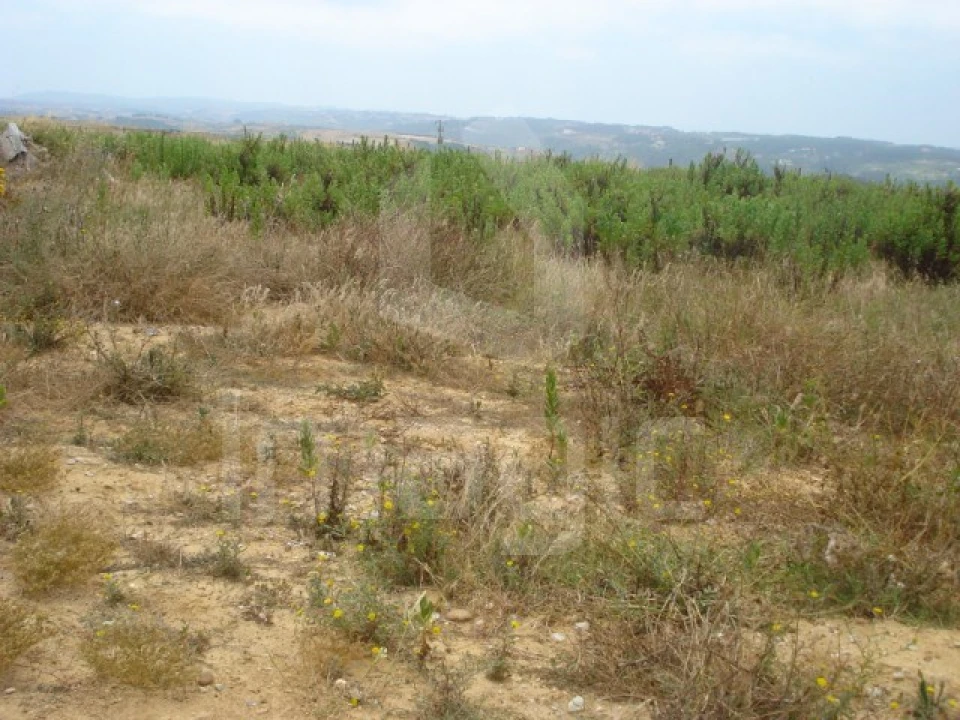 Terreno Agricola ou Rústico para Venda em Ericeira Foto 3