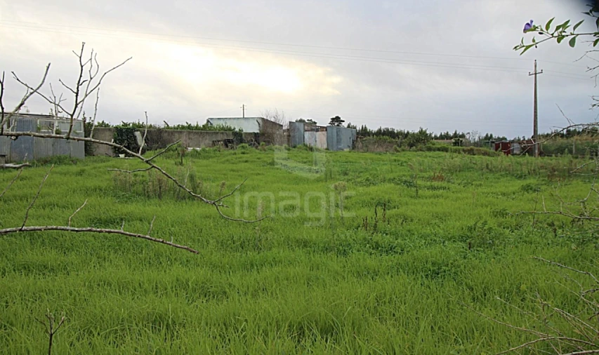 Terreno para Venda em Mafra Foto 3