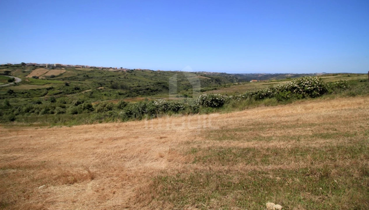 Terreno Agricola ou Rústico para Venda em São João das Lampas e Terrugem Foto 3