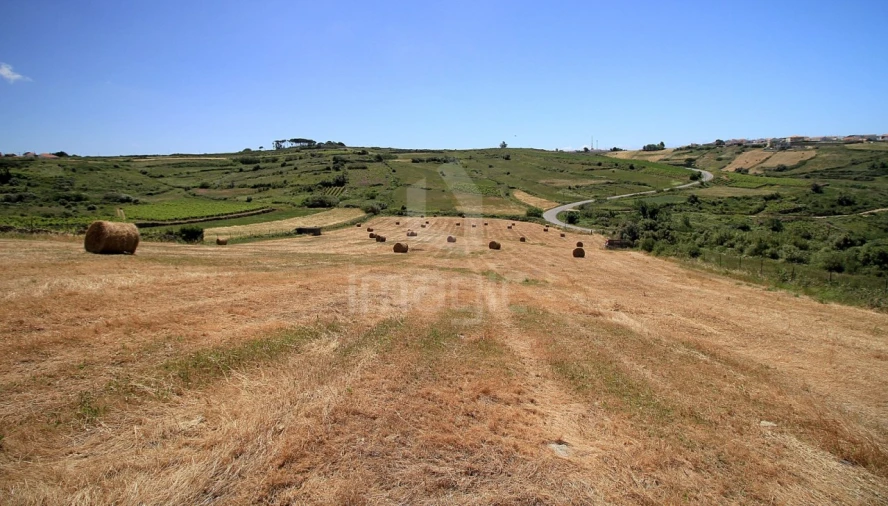 Terreno Agricola ou Rústico para Venda em São João das Lampas e Terrugem Foto 2