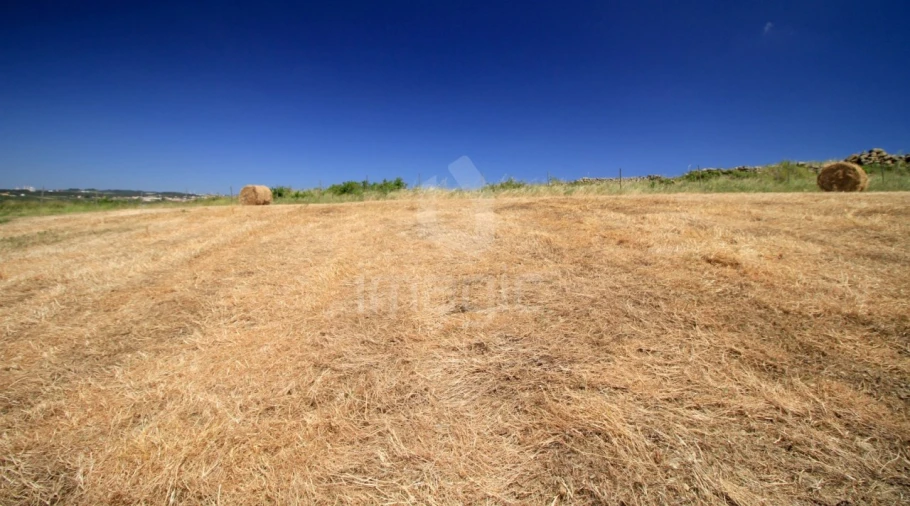 Terreno Agricola ou Rústico para Venda em São João das Lampas e Terrugem Foto 4