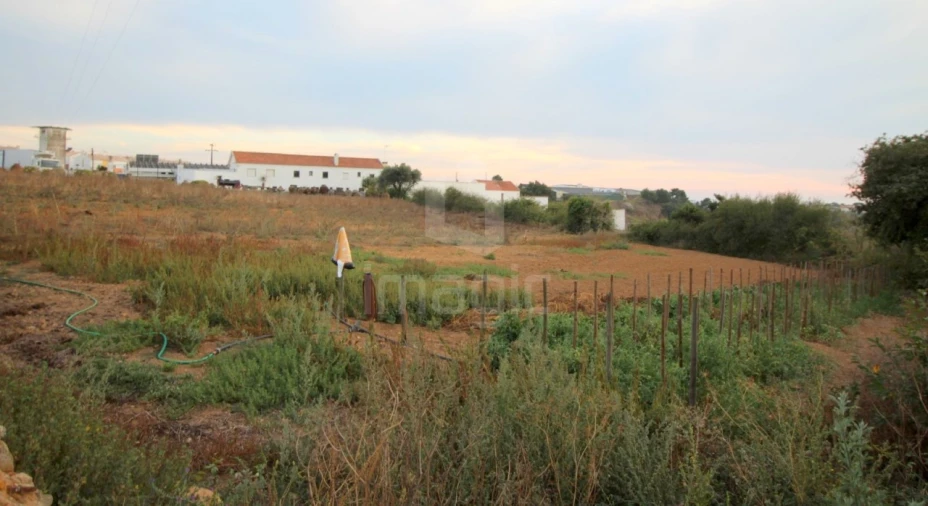 Terreno para Venda em Mafra Foto 5