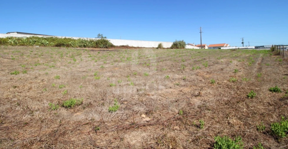 Terreno para Venda em Mafra Foto 2