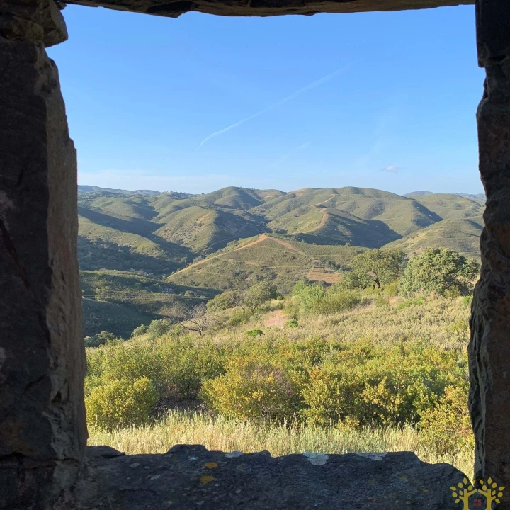 Terreno para Venda em Tavira (Santa Maria e Santiago) Foto 13