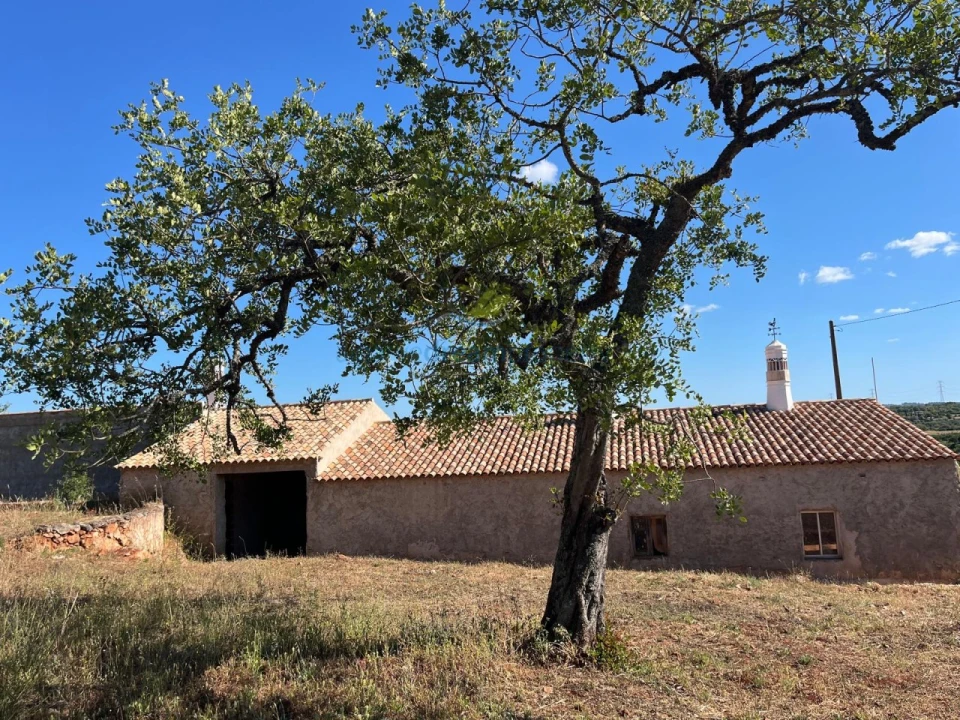 Quinta T5 para Venda em São Bartolomeu de Messines Foto 13