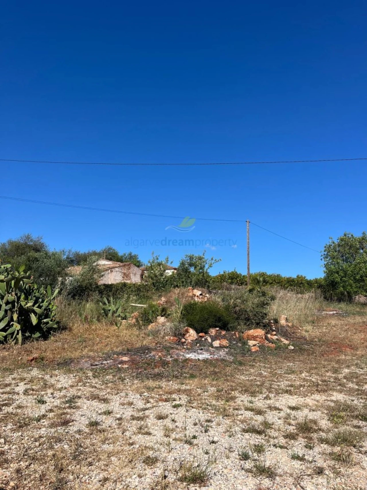 Quinta T5 para Venda em São Bartolomeu de Messines Foto 16