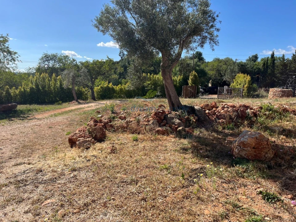 Quinta T5 para Venda em São Bartolomeu de Messines Foto 19