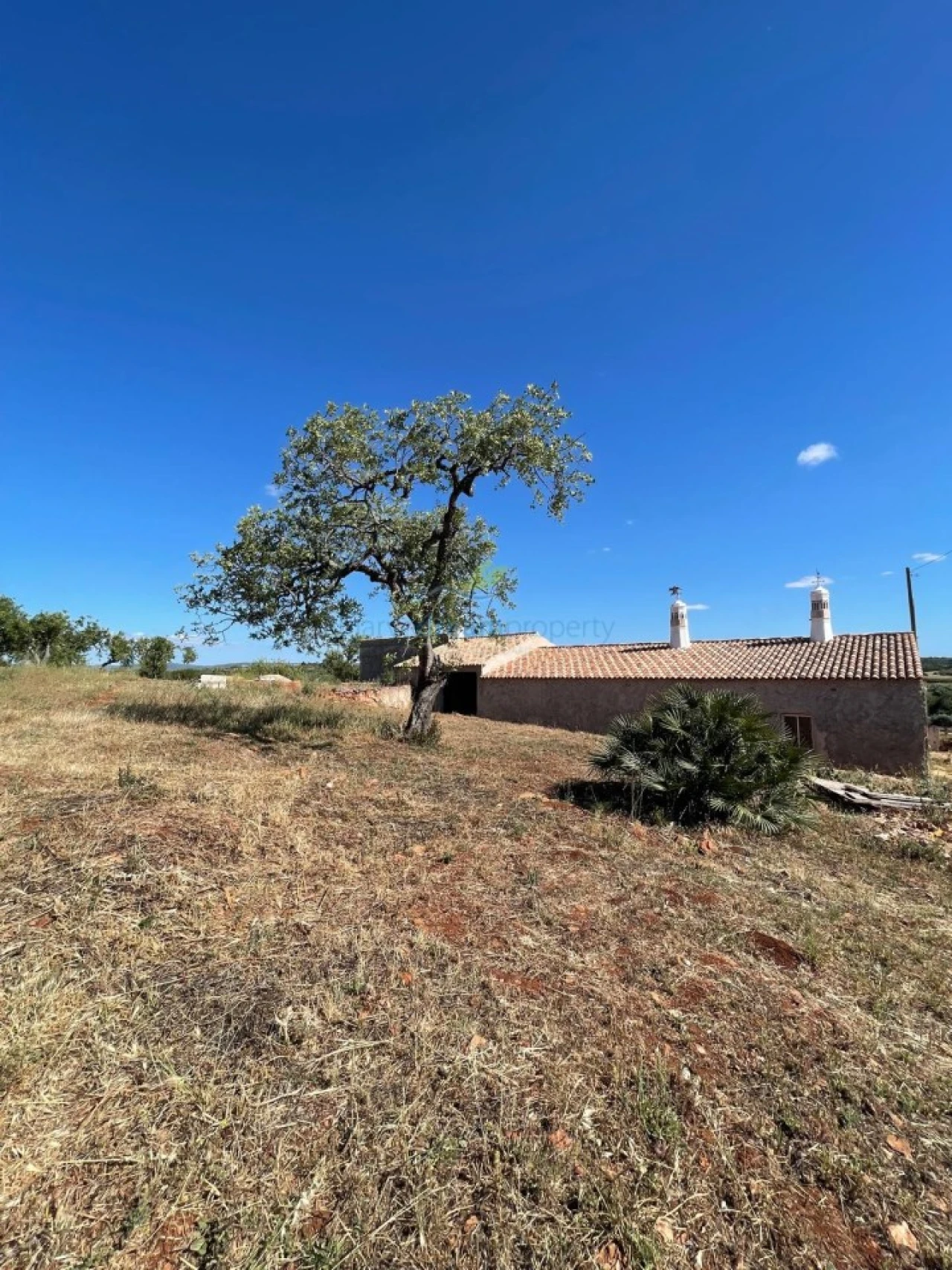 Quinta T5 para Venda em São Bartolomeu de Messines Foto 35