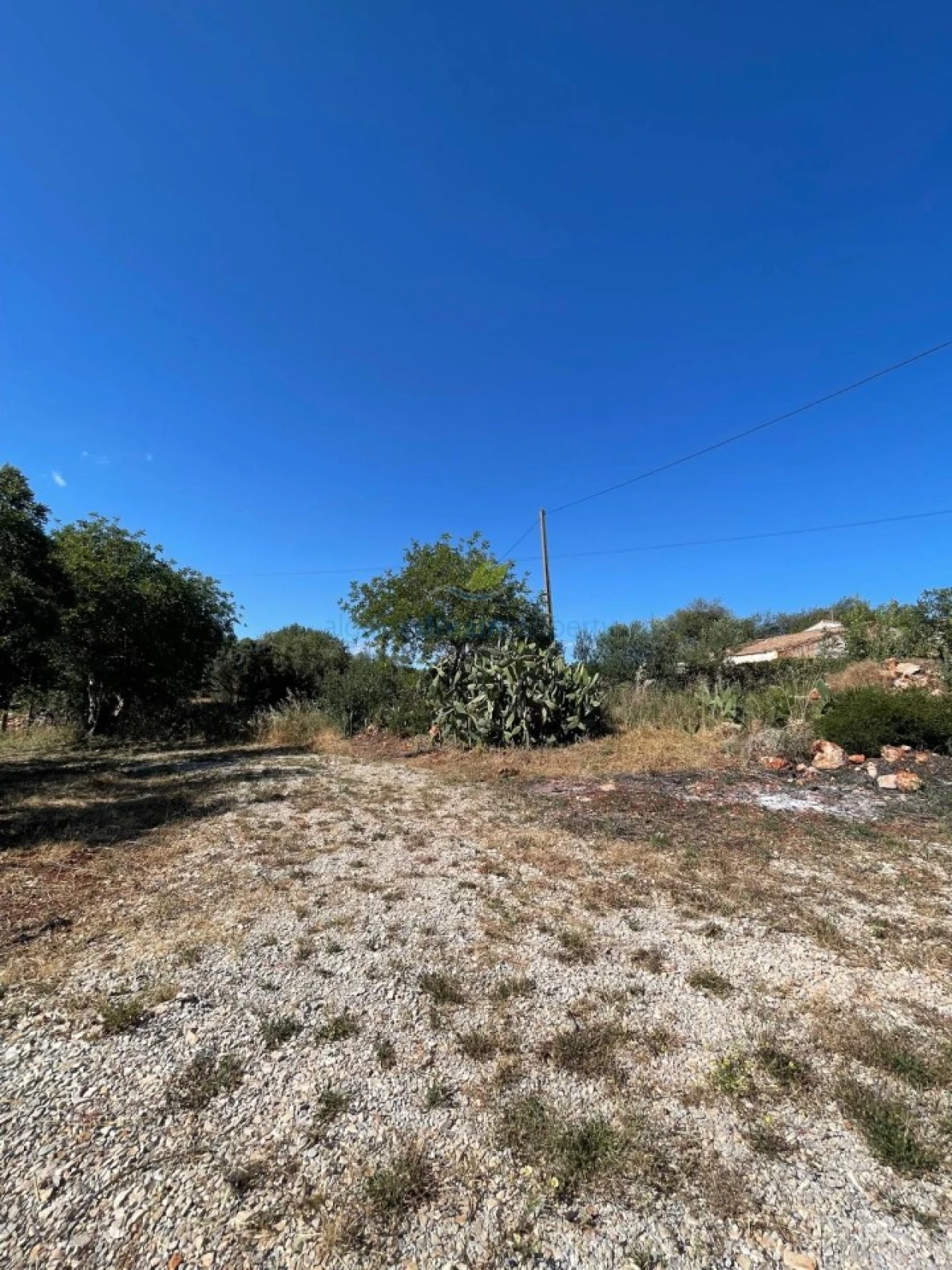 Quinta T5 para Venda em São Bartolomeu de Messines Foto 44
