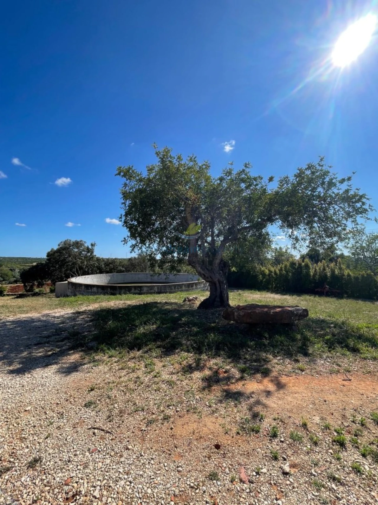 Quinta T5 para Venda em São Bartolomeu de Messines Foto 49