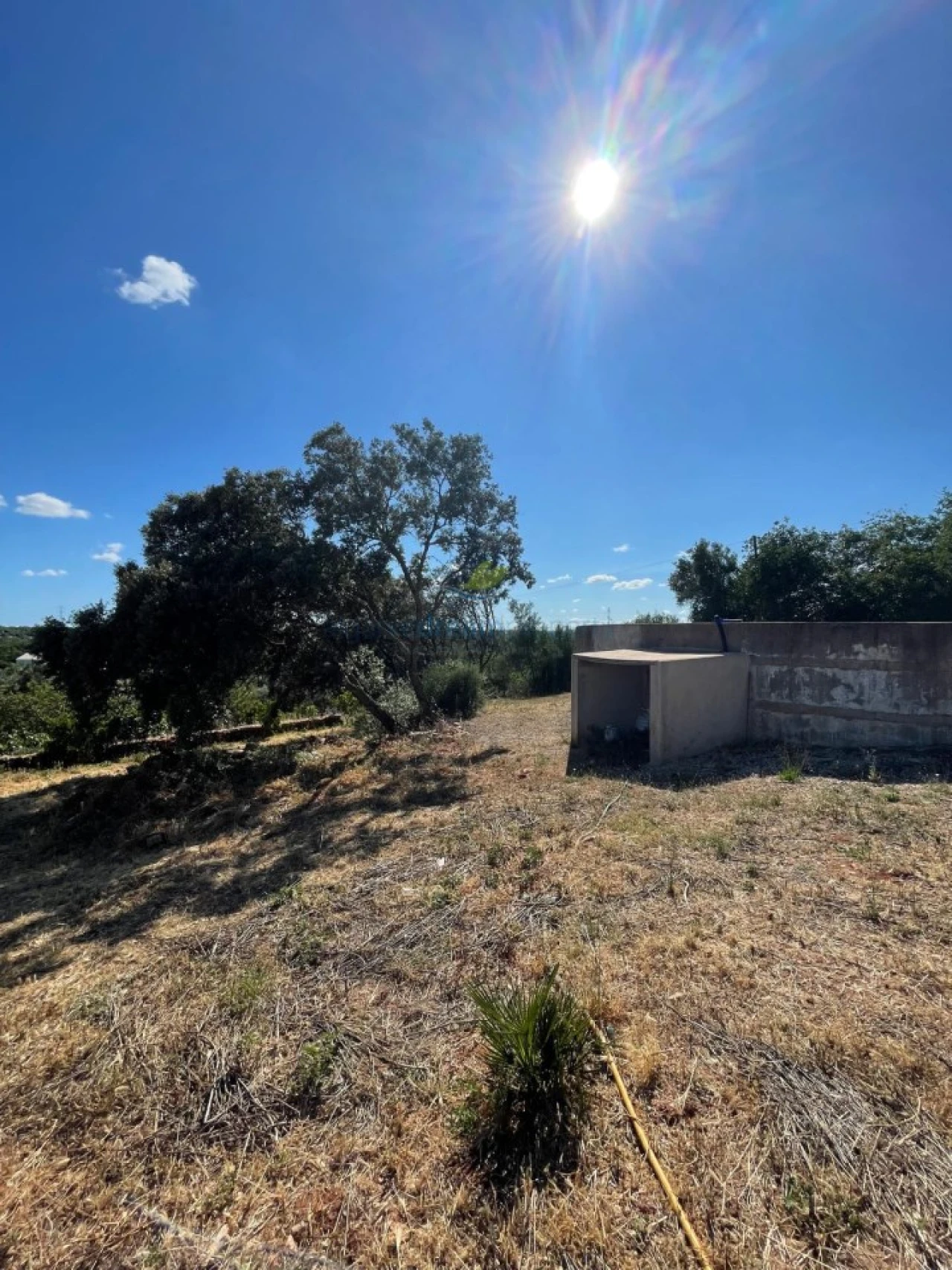 Quinta T5 para Venda em São Bartolomeu de Messines Foto 53
