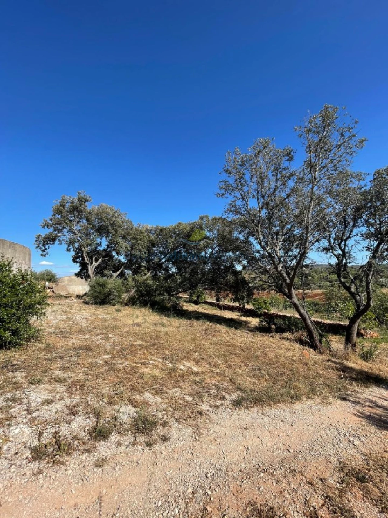 Quinta T5 para Venda em São Bartolomeu de Messines Foto 59