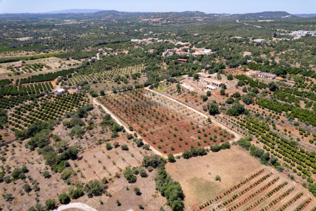 Quinta T5 para Venda em São Bartolomeu de Messines Foto 5