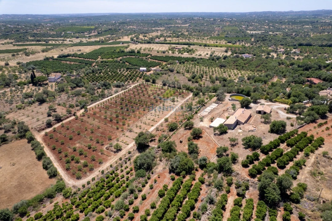 Quinta T5 para Venda em São Bartolomeu de Messines Foto 6