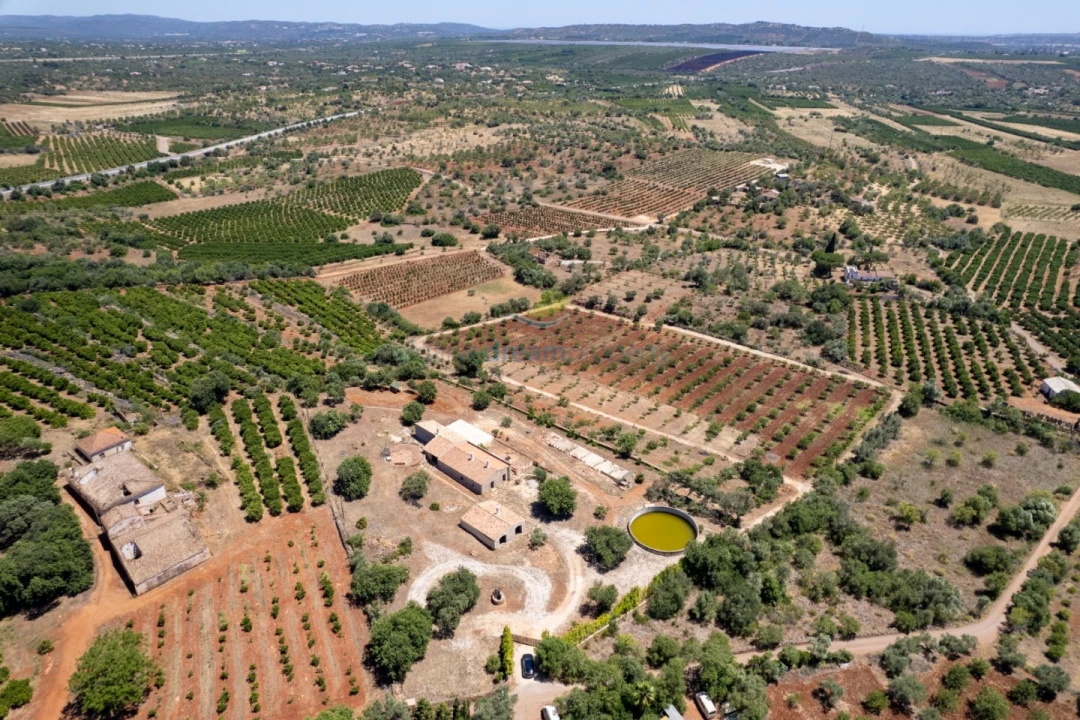 Quinta T5 para Venda em São Bartolomeu de Messines Foto 8