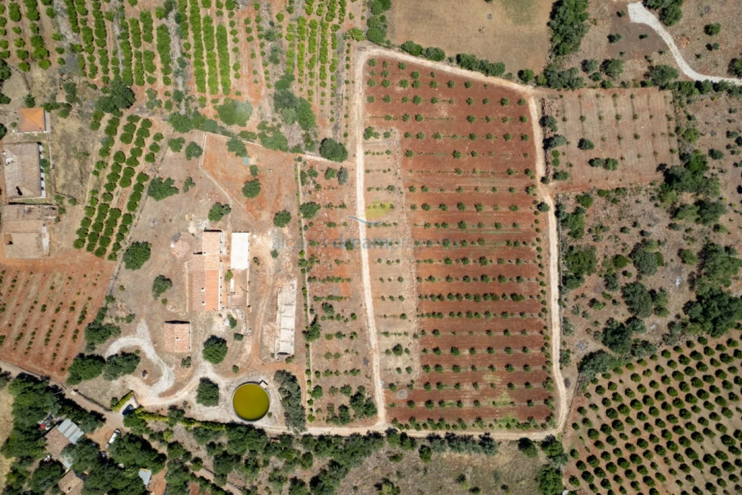 Quinta T5 para Venda em São Bartolomeu de Messines Foto 10
