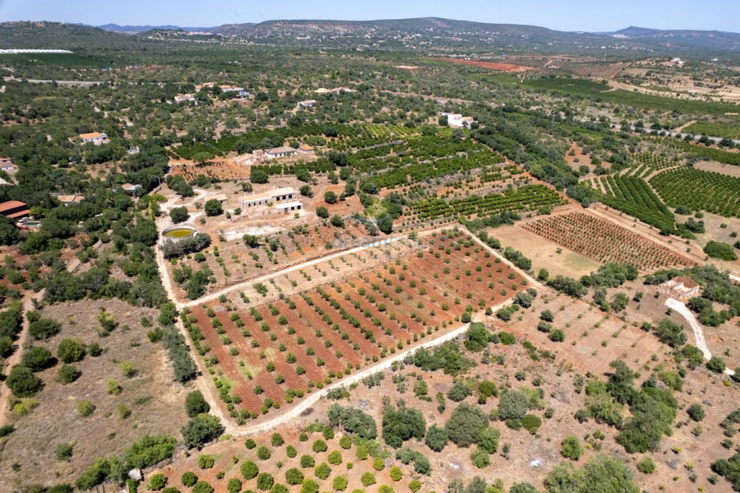 Quinta T5 para Venda em São Bartolomeu de Messines Foto 4