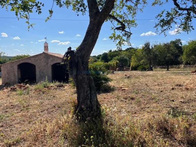 Quinta T5 para Venda em São Bartolomeu de Messines Foto 14